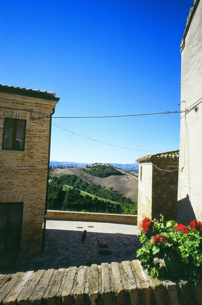 Agriturismo Pozzuolo Serrungarina Exterior photo